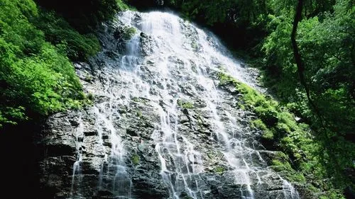 智能系统数字化